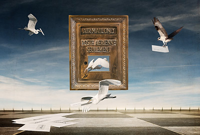 Bibliotheque Reginald Dawnson