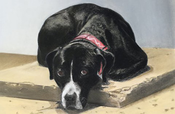 Monique El Baga, pastel sec. expo2